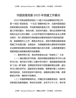 市国资委党委2025年党建工作要点