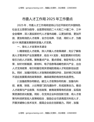 市委人才工作局2025年工作要点