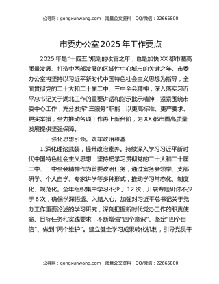 市委办公室2025年工作要点