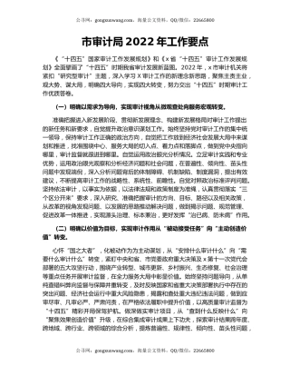 市审计局2022年工作要点