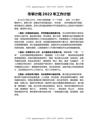 市审计局2022年工作计划