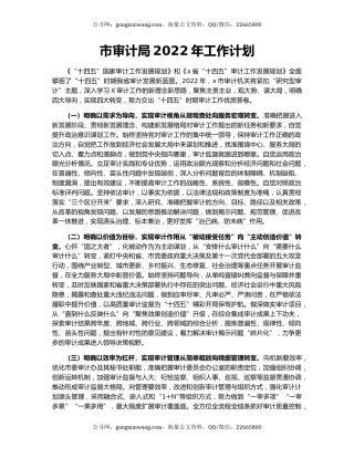 市审计局2022年工作计划（2）