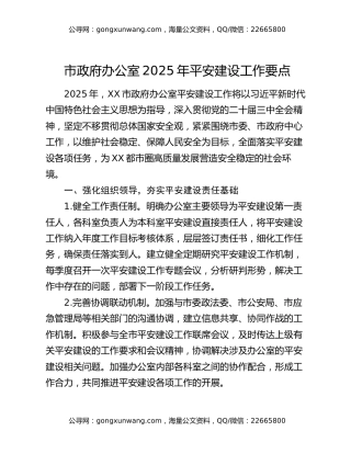 市政府办公室2025年平安建设工作要点