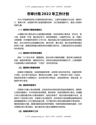 市审计局2022年工作计划（3）