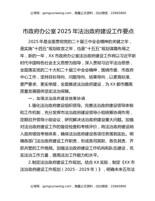 市政府办公室2025年法治政府建设工作要点