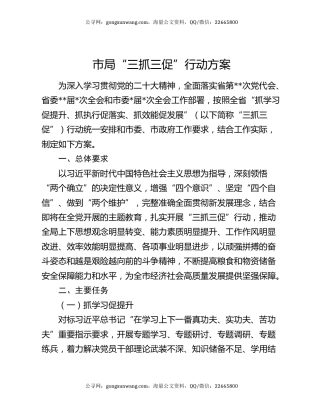 市局“三抓三促”行动方案