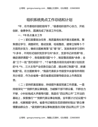组织系统亮点工作总结和计划