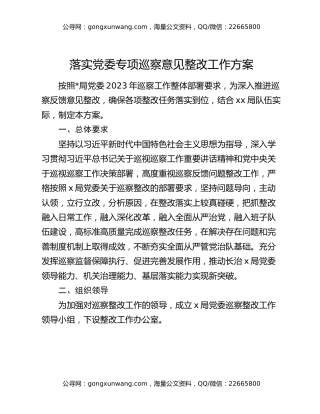 落实党委专项巡察意见整改工作方案