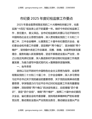 市纪委2025年度纪检监察工作要点