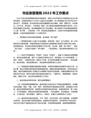 市应急管理局2022年工作要点