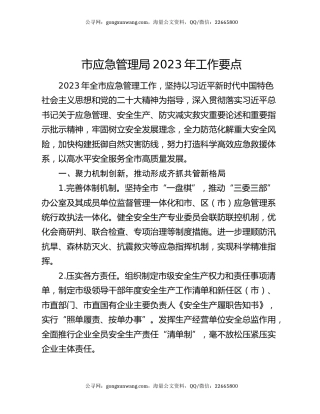 市应急管理局2023年工作要点
