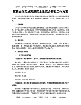 某县文化和旅游局民主生活会整改工作方案