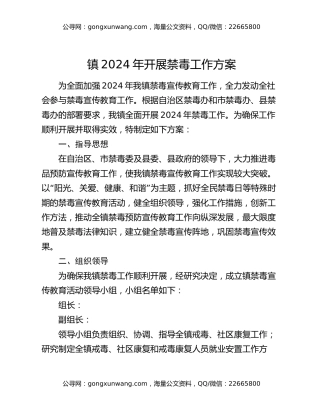镇2024年开展禁毒工作方案