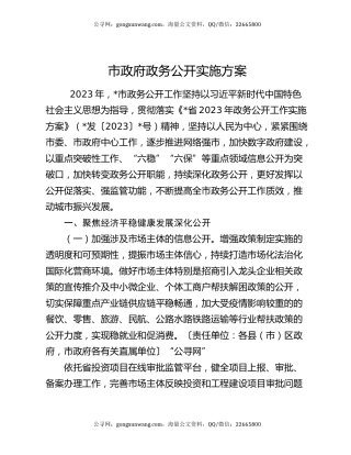 市政府政务公开实施方案