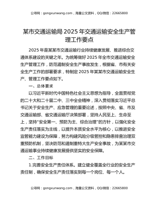 某市交通运输局2025年交通运输安全生产管理工作要点