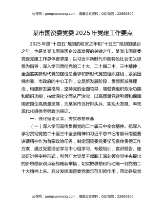 某市国资委党委2025年党建工作要点