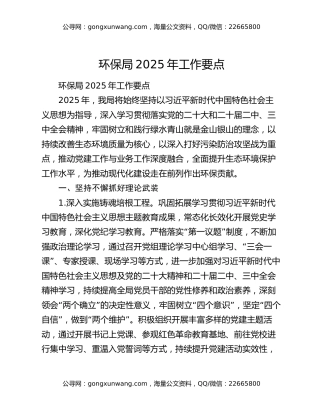 环保局2025年工作要点