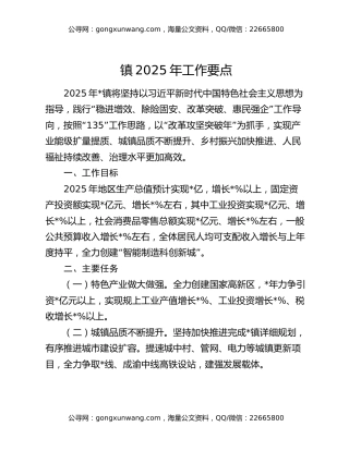 镇2025年工作要点