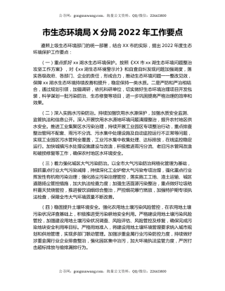 市生态环境局X分局2022年工作要点