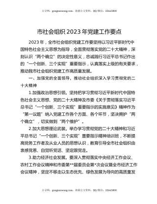 市社会组织2023年党建工作要点