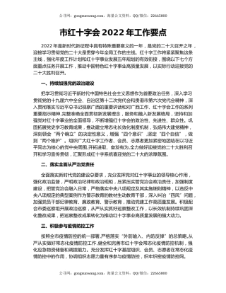 市红十字会2022年工作要点