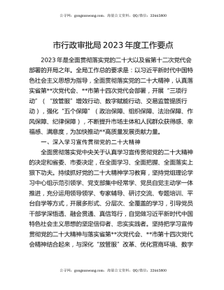 市行政审批局2023年度工作要点