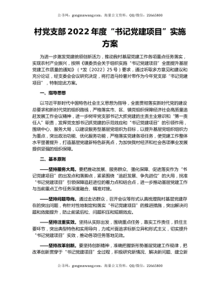村党支部2022年度“书记党建项目”实施方案
