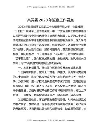 某党委2023年巡察工作要点