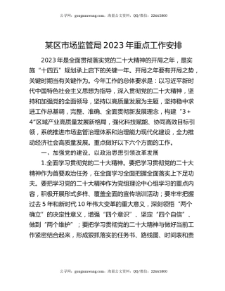 某区市场监管局2023年重点工作安排