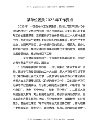 某单位团委2023年工作要点
