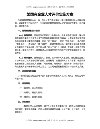 某国有企业人才评价实施方案
