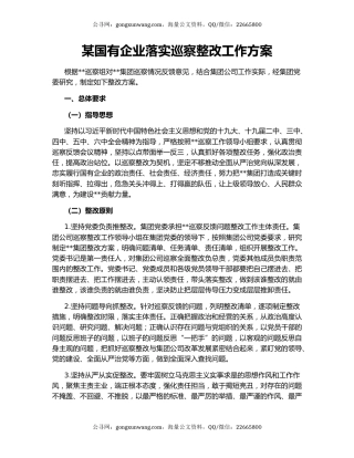 某国有企业落实巡察整改工作方案