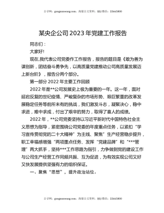 某央企公司2023年党建工作报告