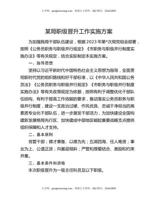 某局职级晋升工作实施方案