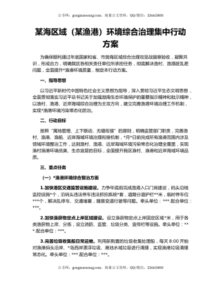某海区域（某渔港）环境综合治理集中行动方案