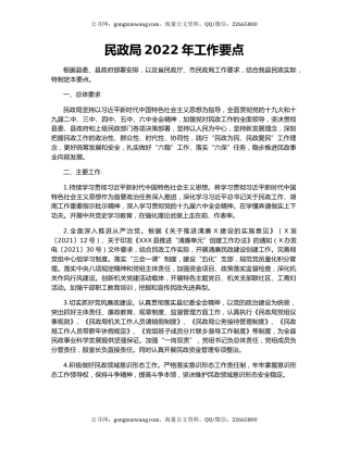 民政局2022年工作要点