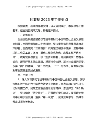 民政局2023年工作要点