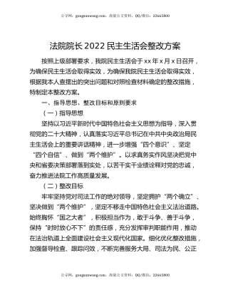 法院院长2022民主生活会整改方案