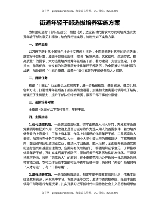 街道年轻干部选拔培养实施方案