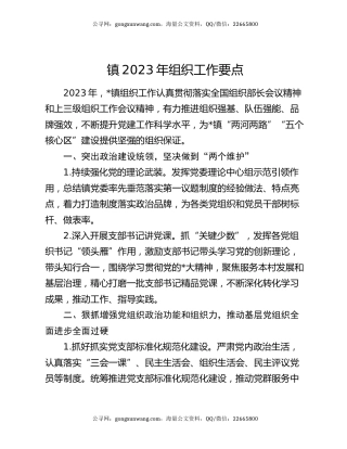 镇2023年组织工作要点
