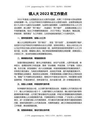 镇人大2022年工作要点