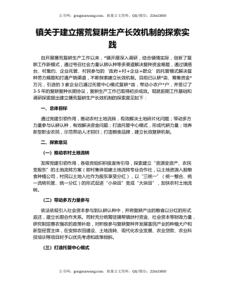 镇关于建立撂荒复耕生产长效机制的探索实践