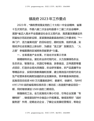 镇政府2023年工作要点