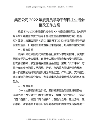 集团公司2022年度党员领导干部民主生活会整改工作方案