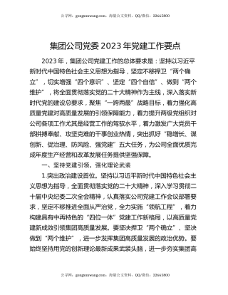 集团公司党委2023年党建工作要点