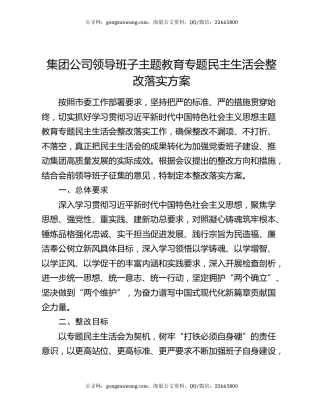 集团公司领导班子主题教育专题民主生活会整改落实方案