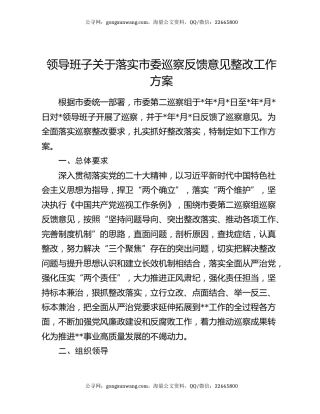 领导班子关于落实市委巡察反馈意见整改工作方案