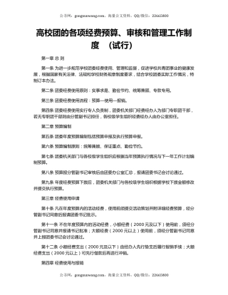 高校团的各项经费预算、审核和管理工作制度  （试行）