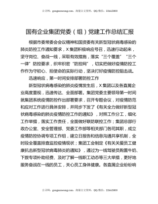 国有企业集团党委（组）党建工作总结汇报