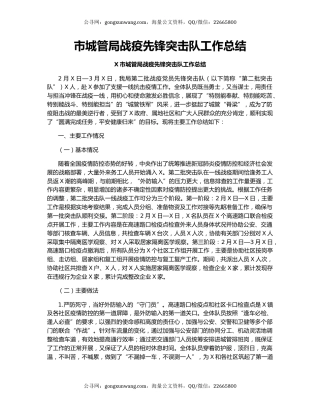 市城管局战疫先锋突击队工作总结